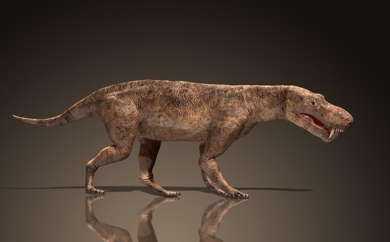 齿兽小很多以犬齿兽中稍晚一点出现的三尖叉齿兽(thrinaxodon)为例体