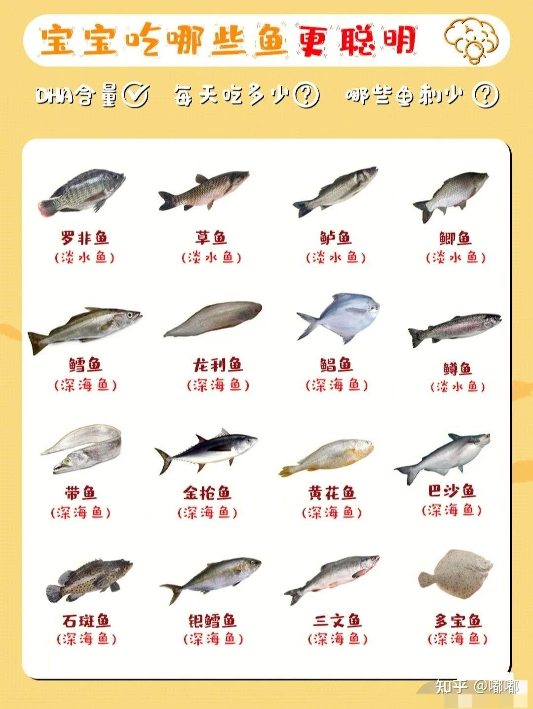 鲤鱼5种最好吃的做法，每种都营养美味，看看你喜欢吃哪种？ - 知乎