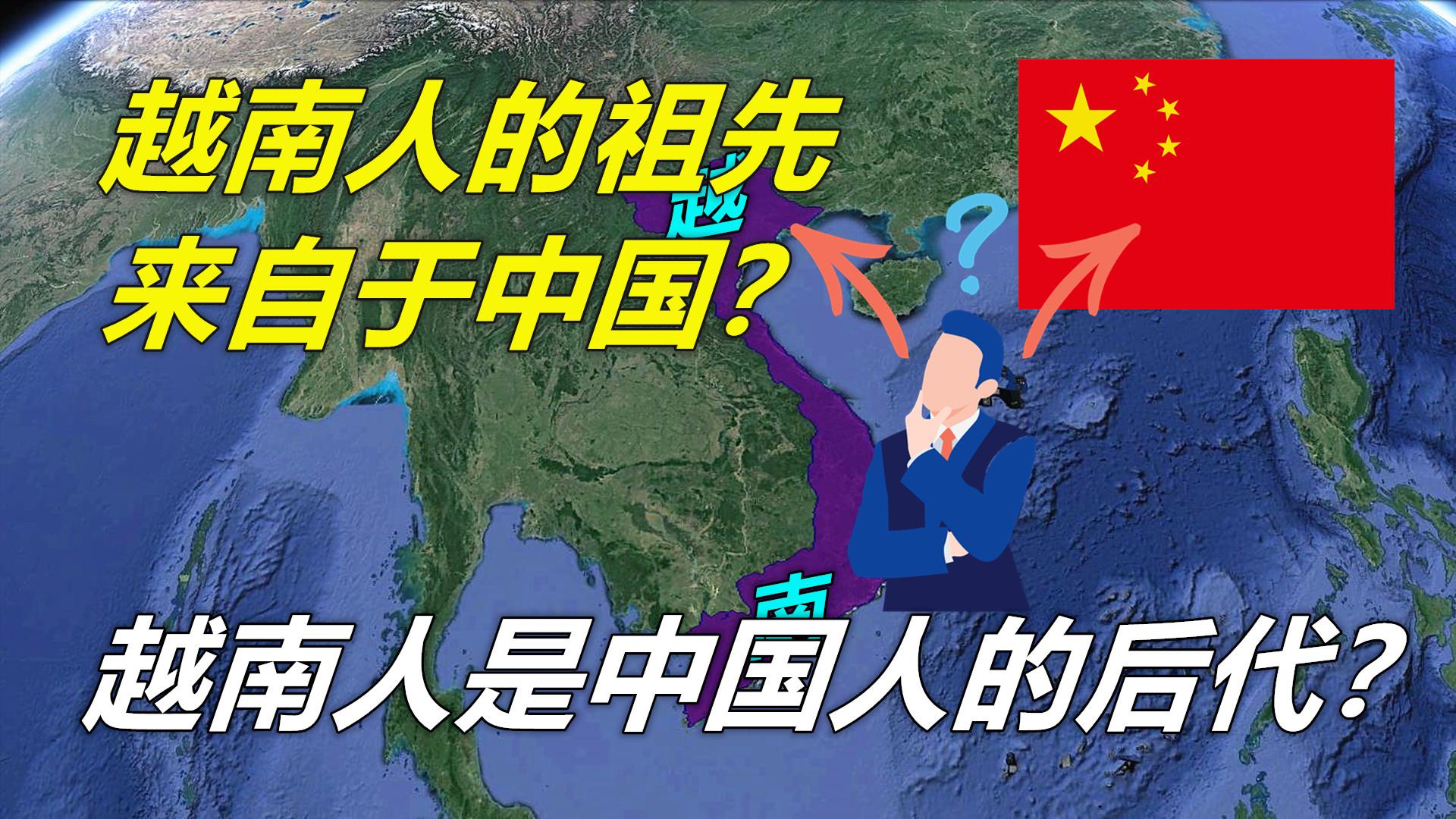 越南网民评论中国血统图片