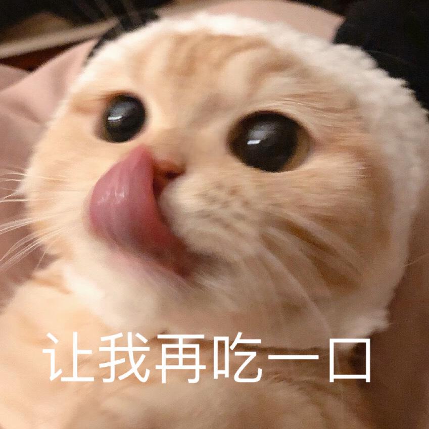 有哪些可爱的动物表情包