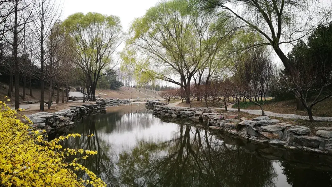 为什么要这么对待清华大学校园内的万泉河