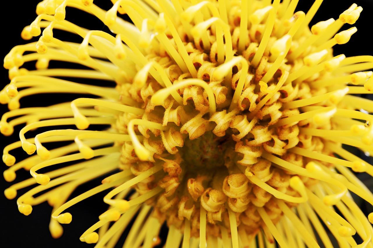 3. 无毒材质枕排行