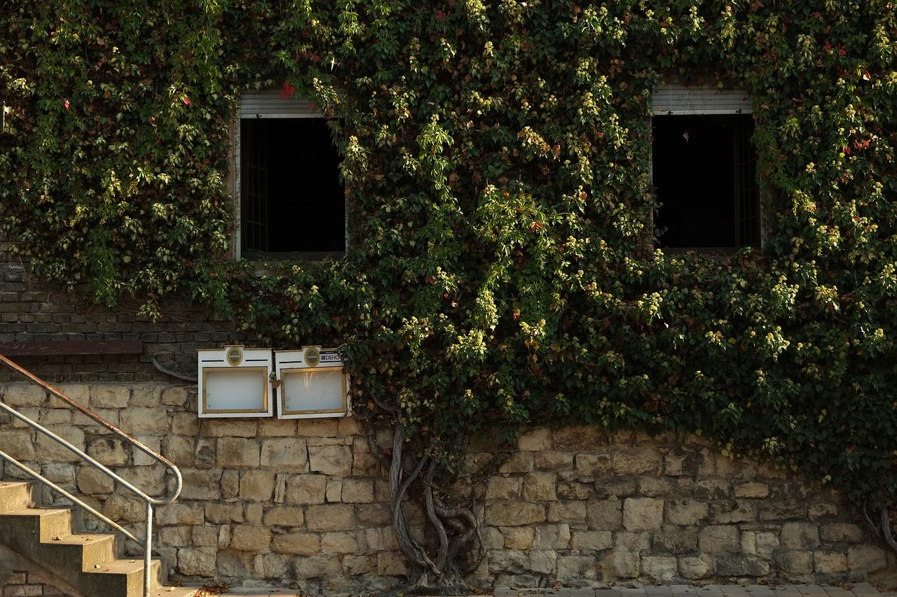 看老房子要注意什么