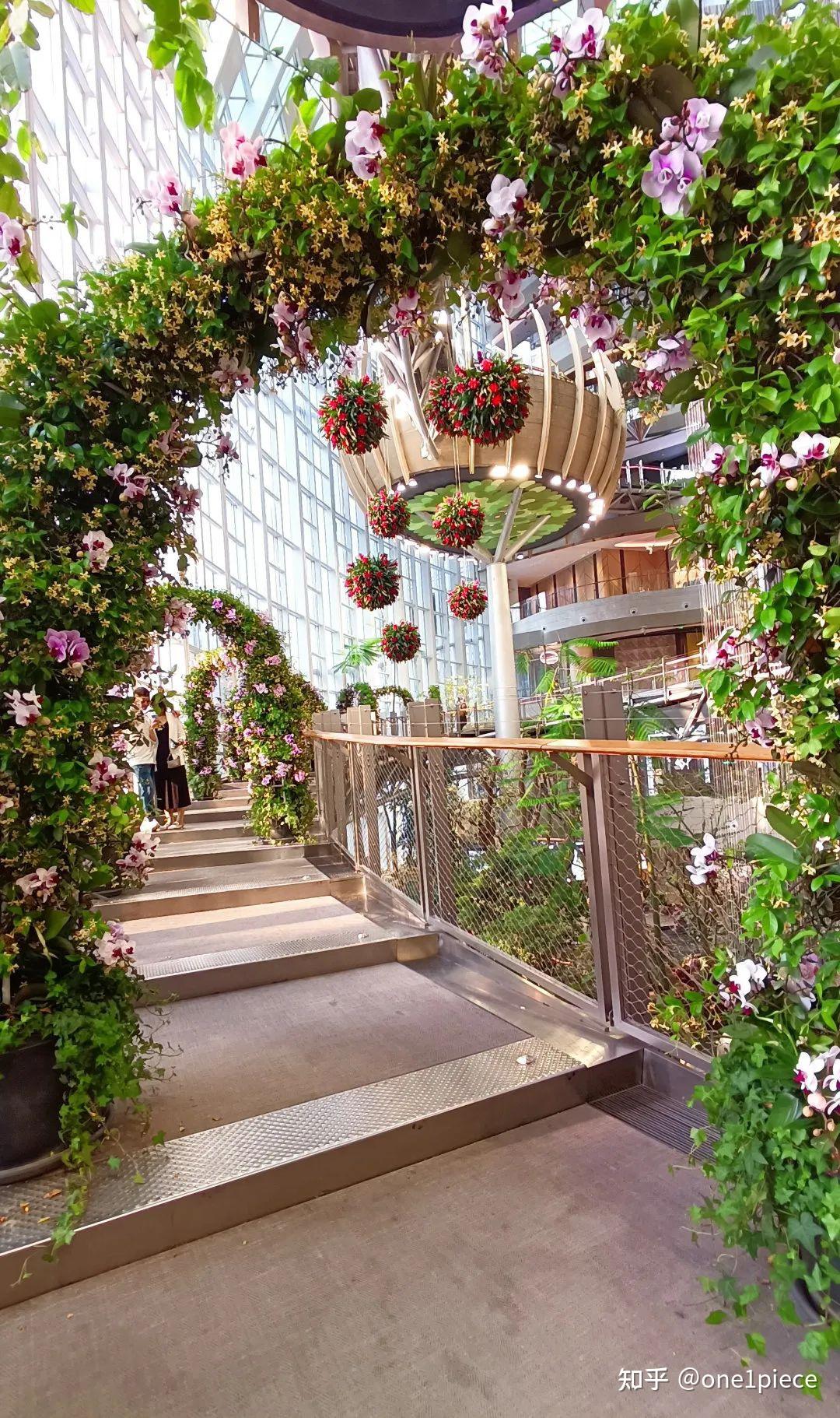 重庆光环沐光森林焕新升级重构人与自然的链接寻找春天最美的样子