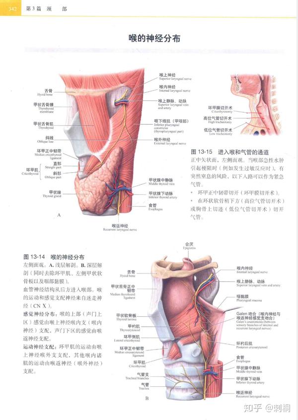 欧美经典“人体解剖图谱”概览- 知乎