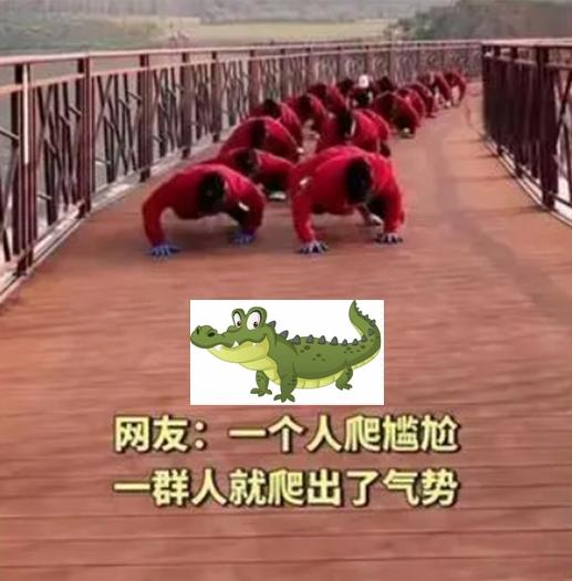 《鳄鱼爬:一种独特健身锻炼方式的医学与养生视角综合评析》