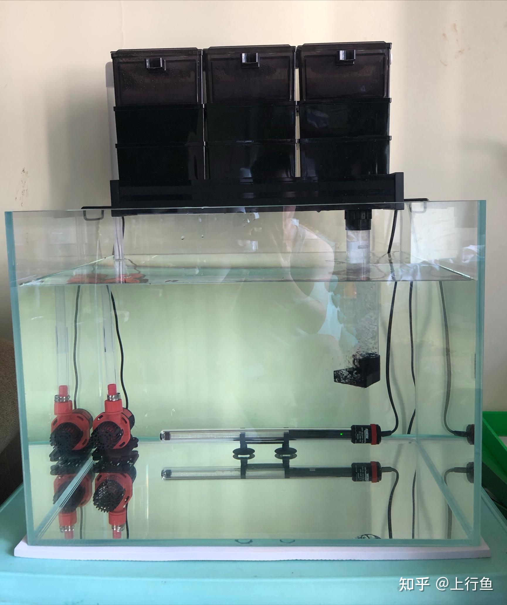 鱼缸水泵吸鱼怎么办 - 知乎