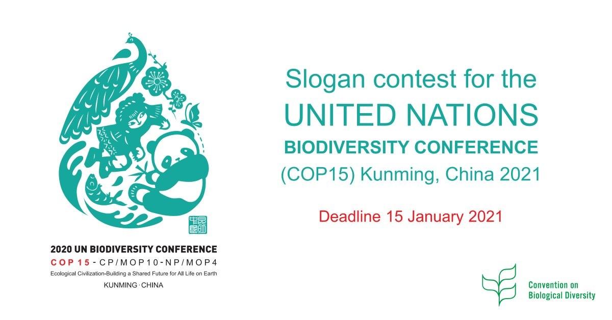 您的机会获得国际认可并赢取大奖证书生物多样性公约昆明cop15口号