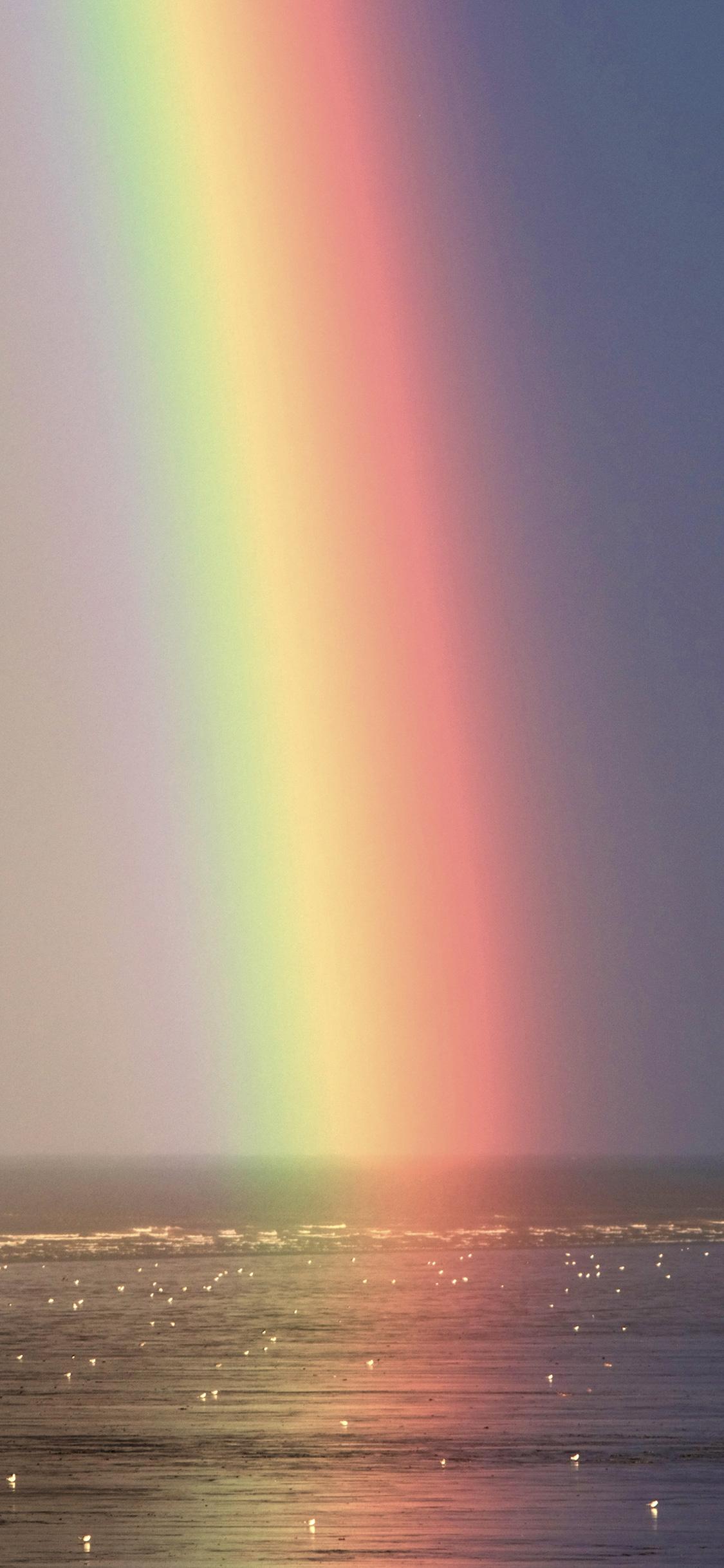 求苹果11pro max 高质量壁纸.无水印. - 知乎