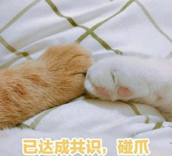 大家有什么好的表情包推荐？ - 知乎