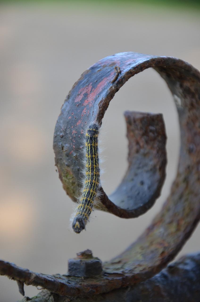 3. 磨损率低研磨好