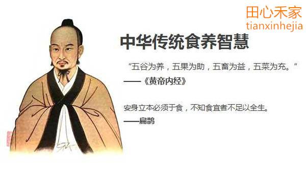 养生系列-“五谷为养”究竟在养什么? - 知乎