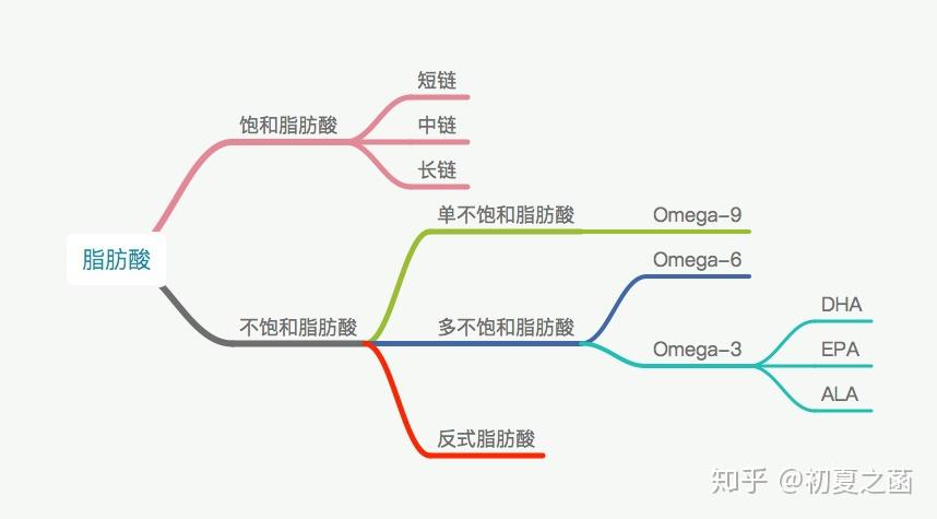 在日常饮食当中,有哪些意想不到的高热量食物?