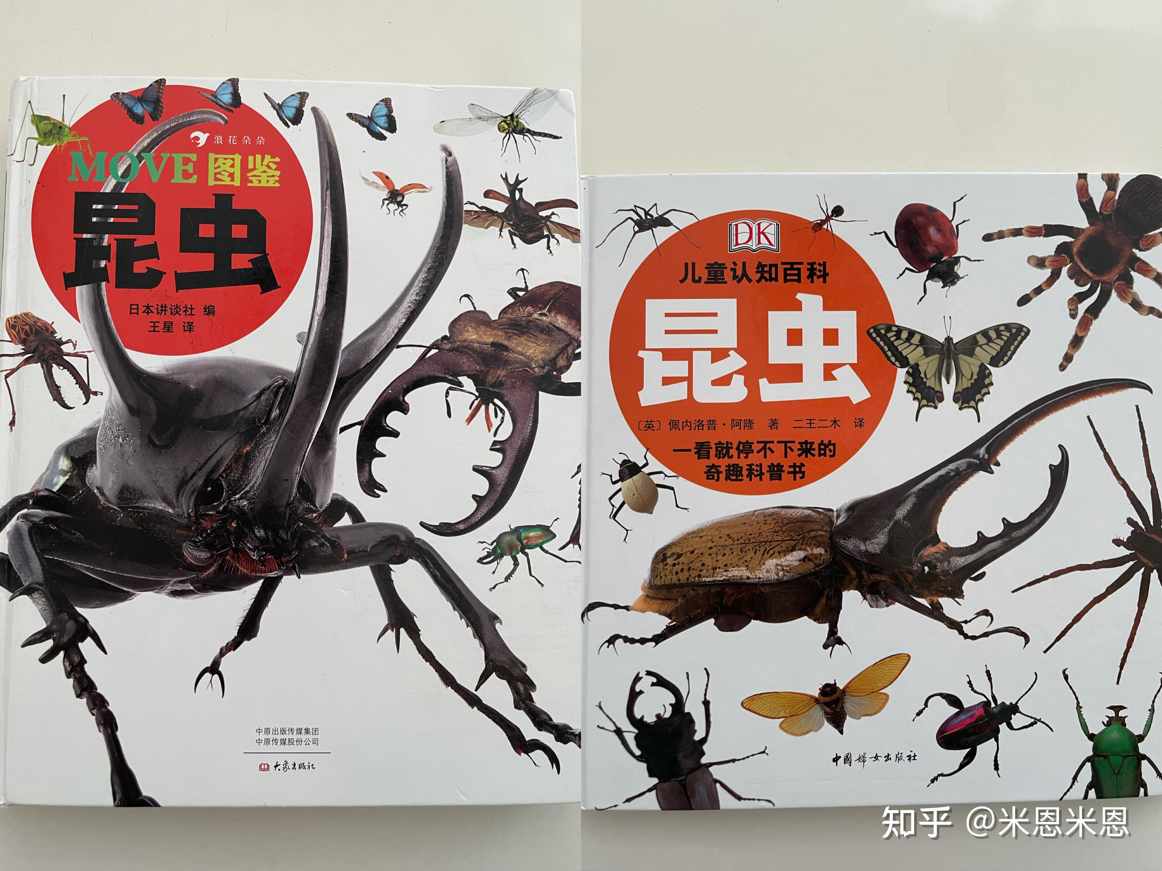 3～6岁喜欢昆虫的宝宝读什么绘本 - 知乎