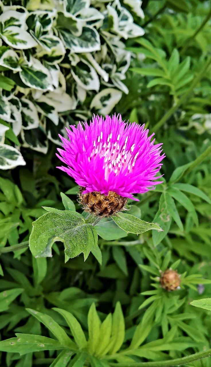 6. 适合人群推荐