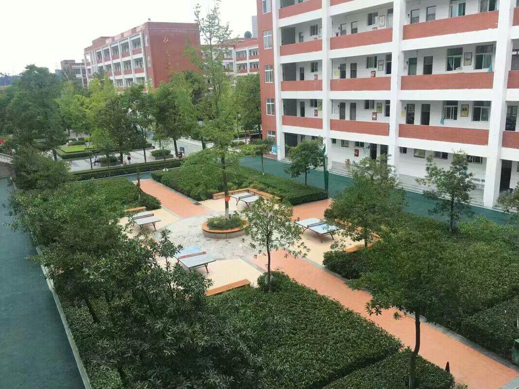 在绵阳中学实验学校读书是一种怎样的体验?