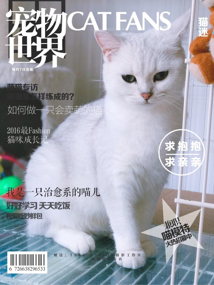 猫记仇吗? - 知乎
