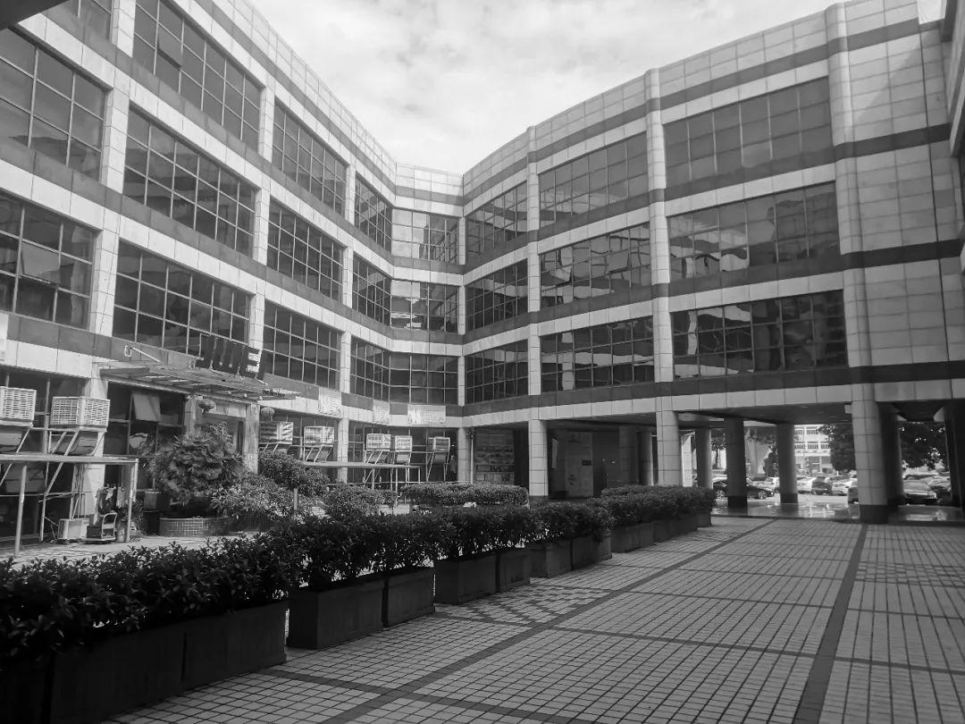 校园设计案例分享深圳市明珠学校打造多维度室内建筑一体化校园