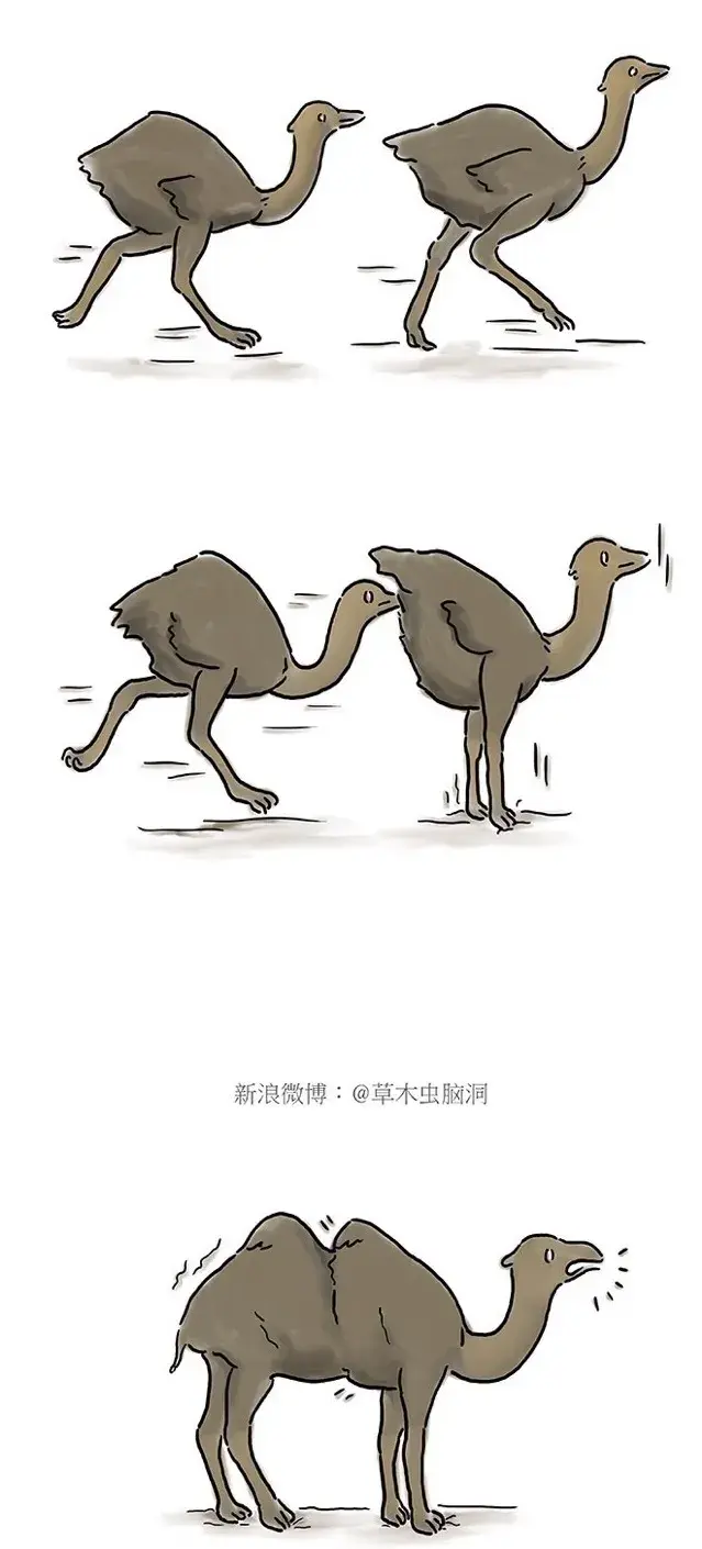 相扑的小鸡图片