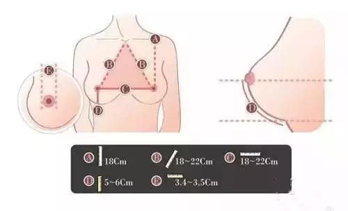 多吃什么可以促进胸部发育 v2-18405f8762f8ee70c7539cd9c17d6367_r.jpg