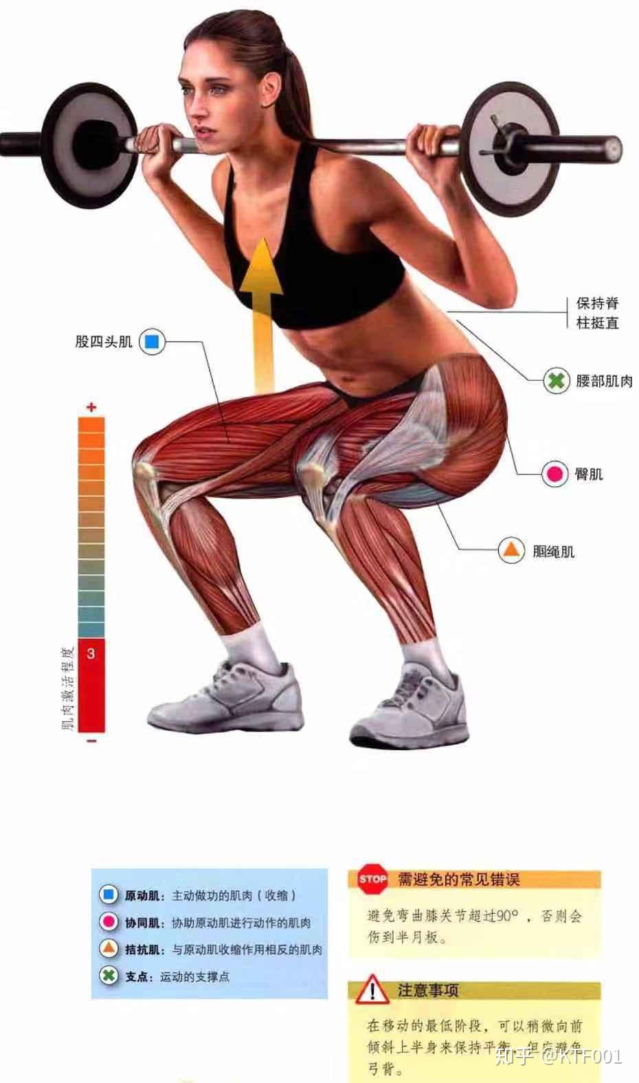 大腿器械训练详细教程股四头肌:这块肌肉包括4个部分
