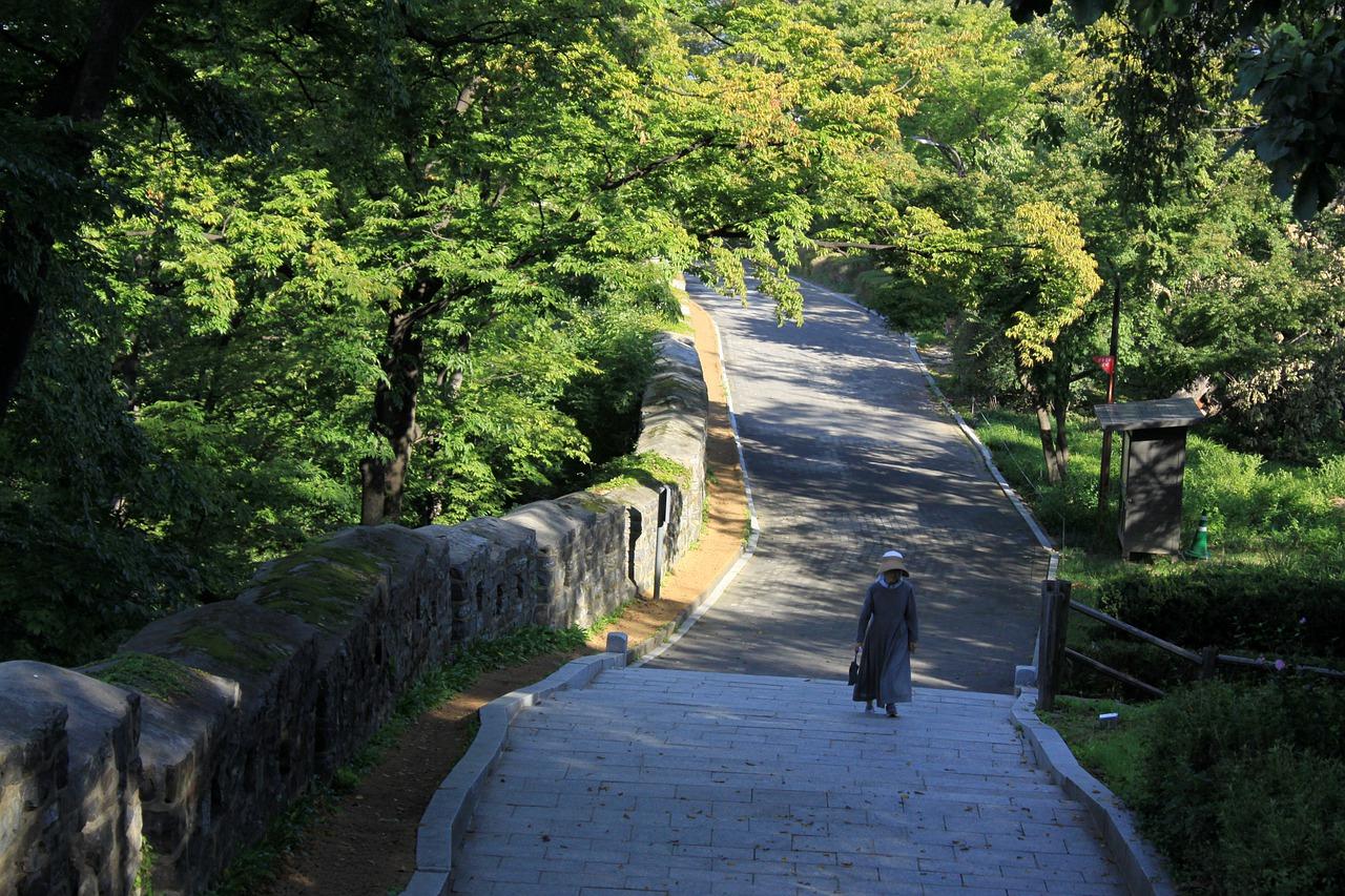 淄川体育公园在哪里