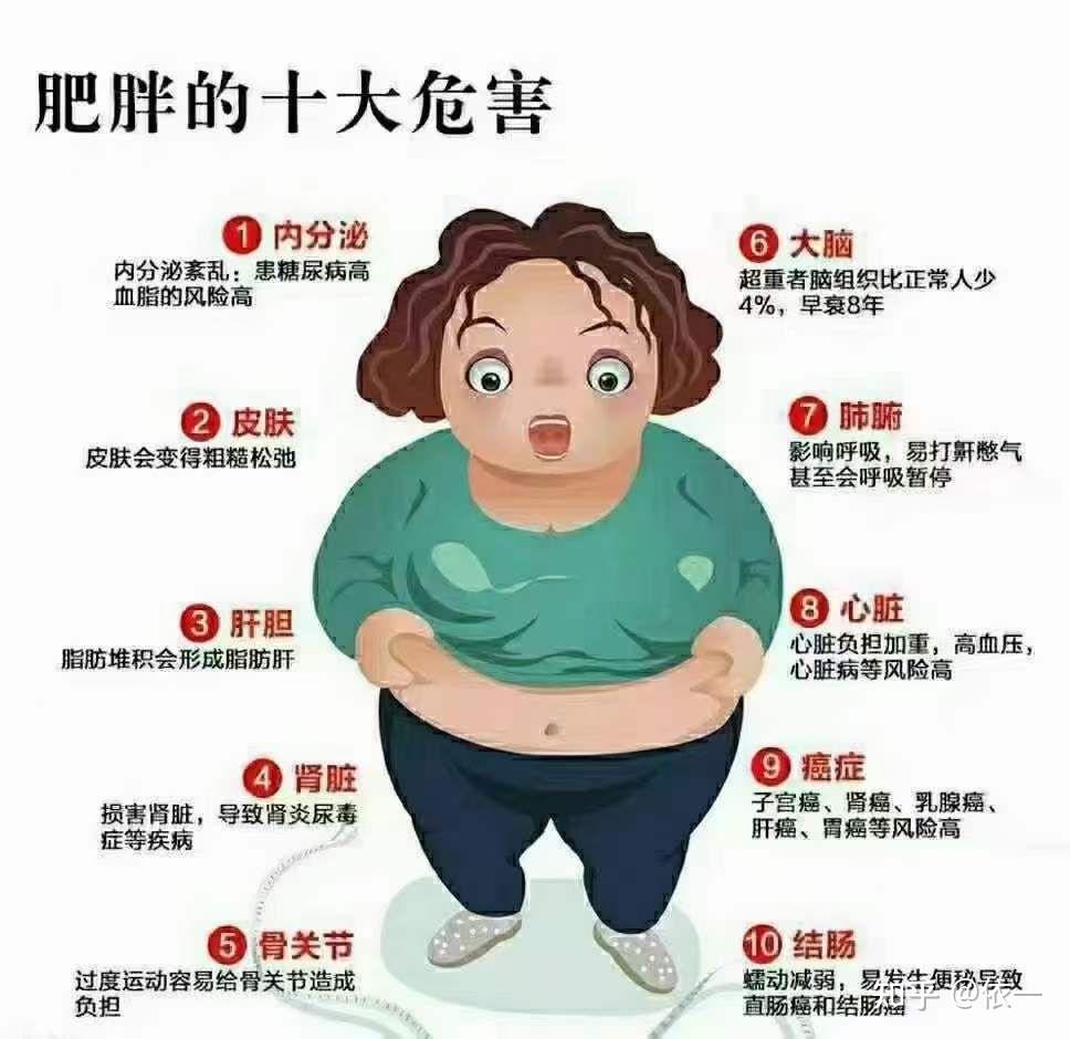 女性肥胖的危害有哪些