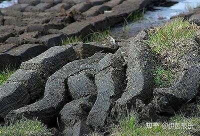 艾蕾岛威士忌独特的泥煤味是怎么来的? - 知乎