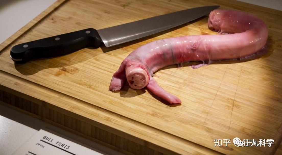 第一个重量级选手仍然来自中国:牛鞭.