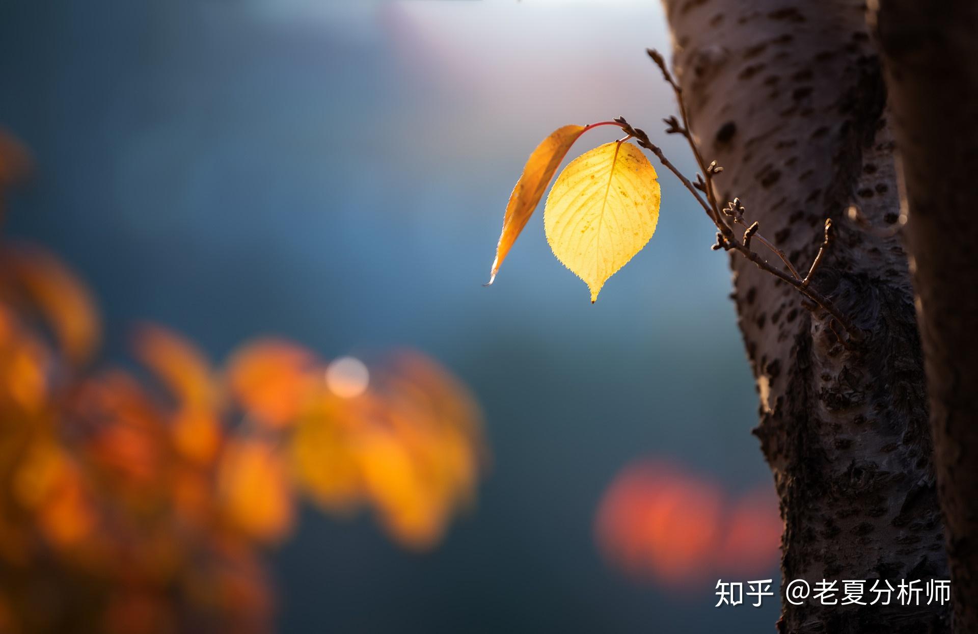 大方要適度,善良要有底線