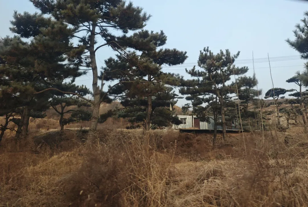 孩子引发山火后全家面临巨额赔偿，父母两年终完成赔付，怕孩子敏感，尽量不提此事，如何看待这种处理方式？