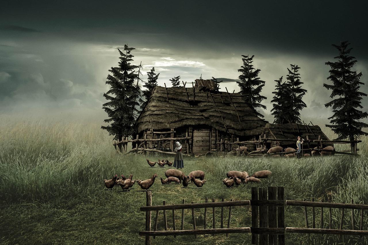 更名费用预算参考