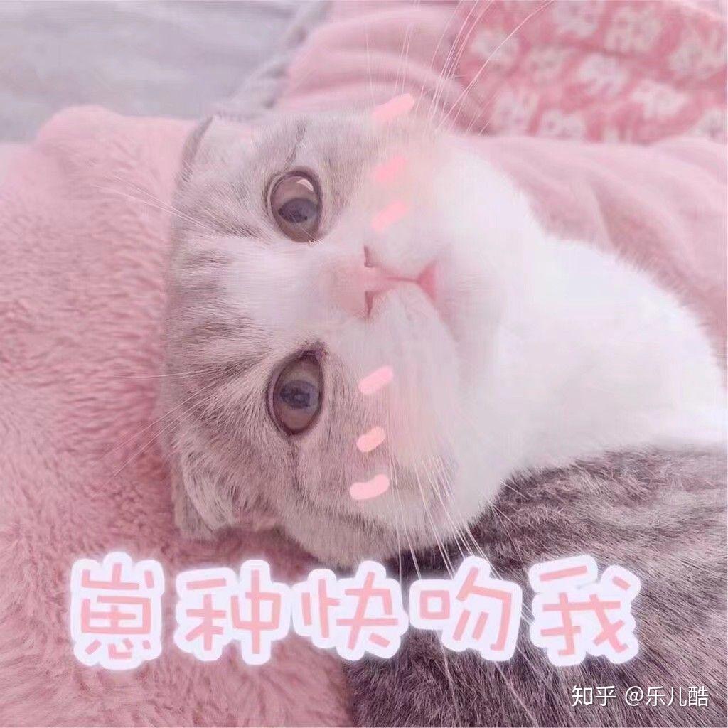 v2-1872a61a1f8d0fb1af0be52c4c918be8_r.jpg