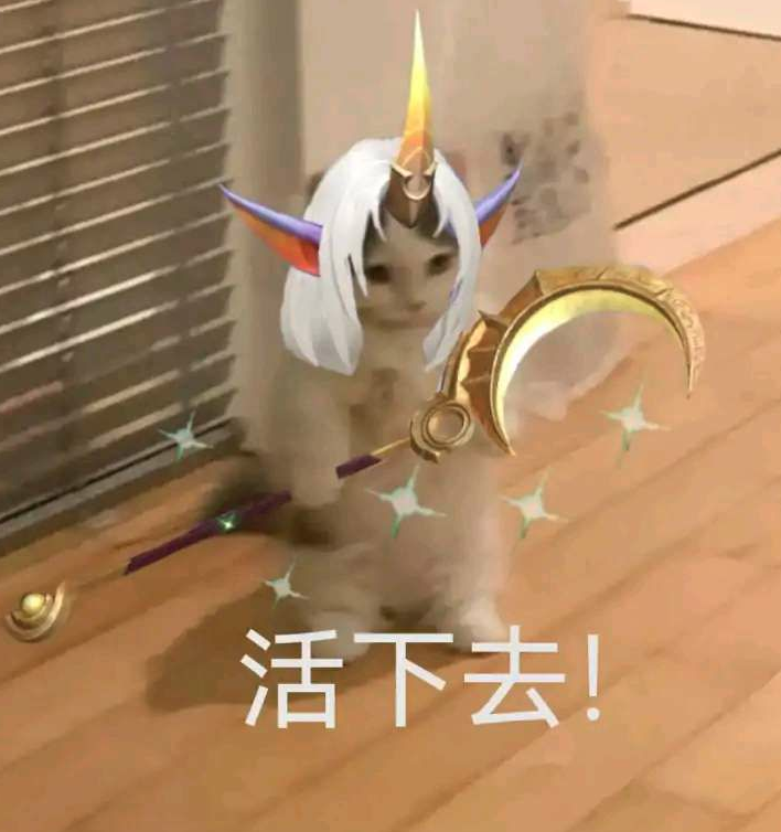 你都有哪些英雄联盟魔法猫咪的表情包