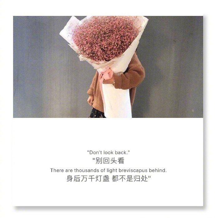 可以给我一句对爱情绝望的句子吗