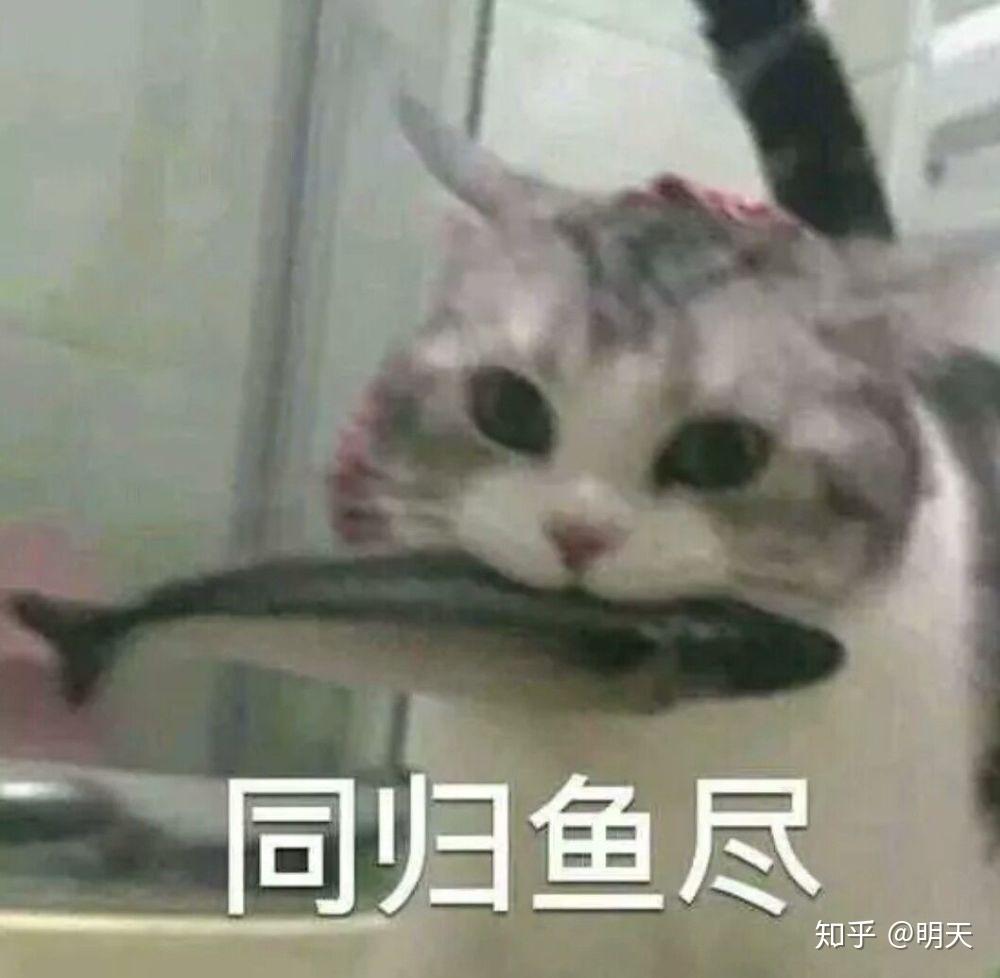 如何看待抖音外放的人 v2-18775a3ed62724a1b713158c5c606094_r.jpg