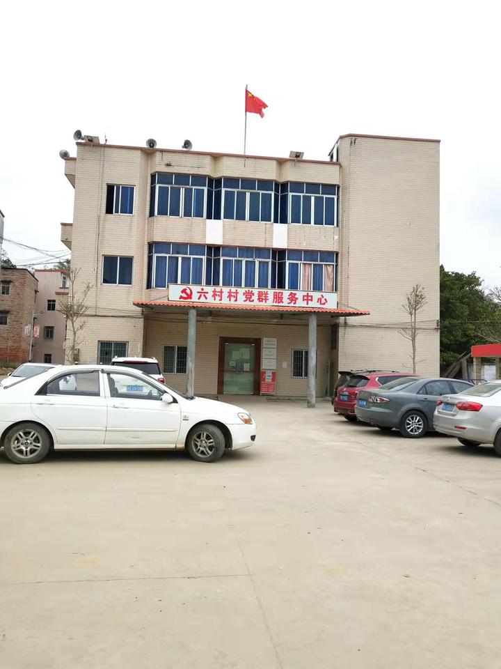 2021年化州市那务镇六村基本情况