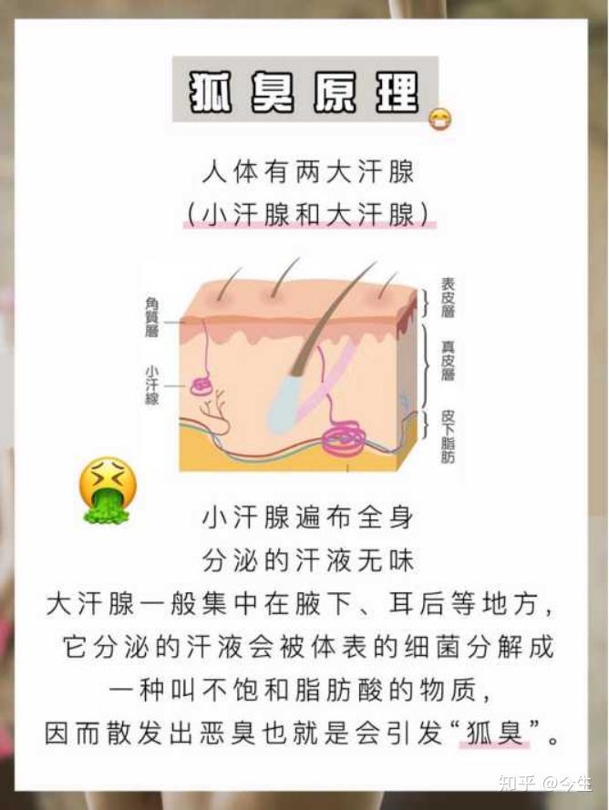 狐臭会不会被传染上?或者传染别人