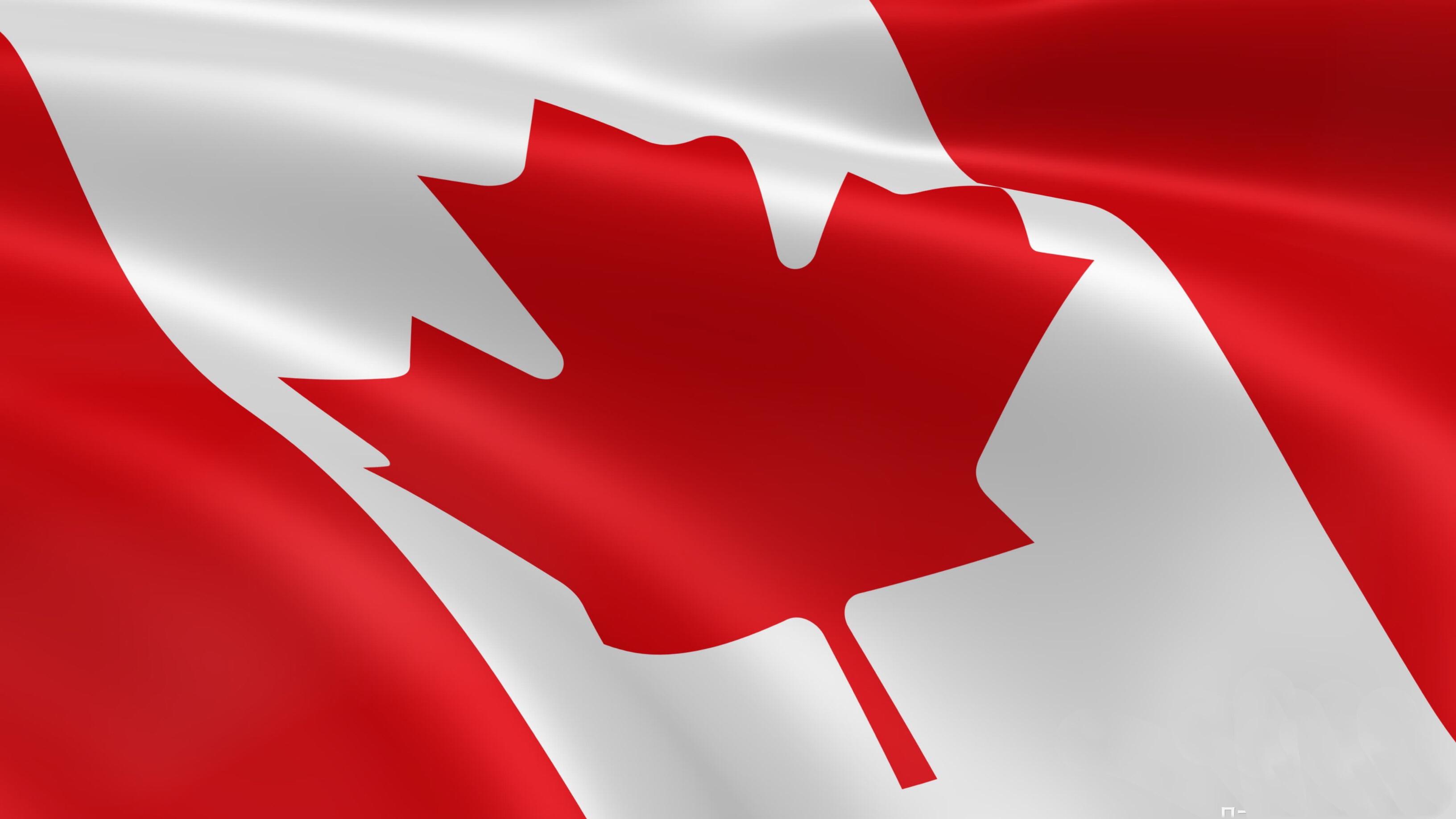 加拿大的国旗图片图片