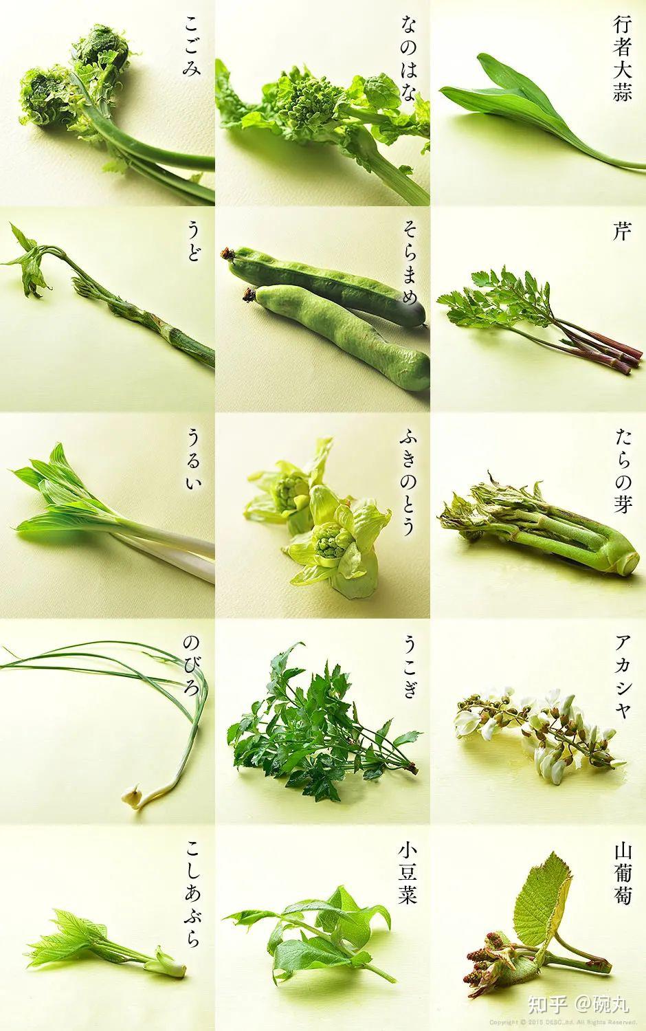 4,独活和它的亲友团