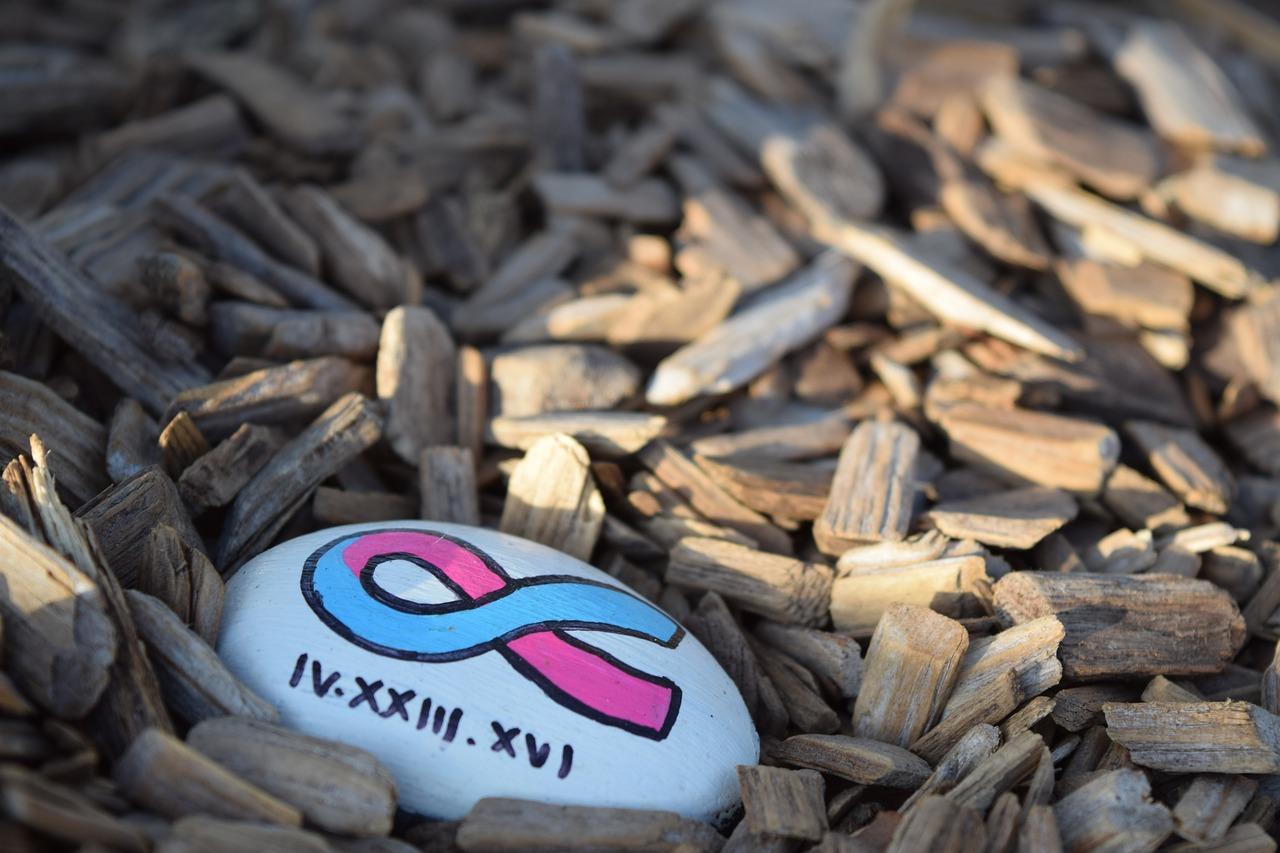 3. 镜面漆保养秘籍