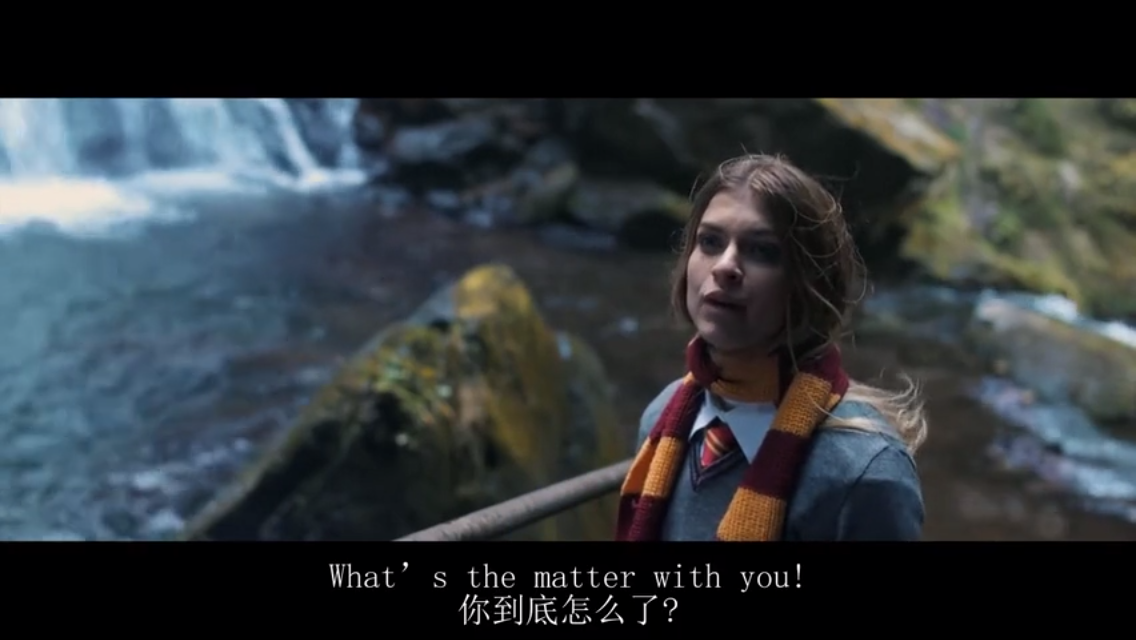 如何评价哈利波特同人电影《伏地魔:后裔之源