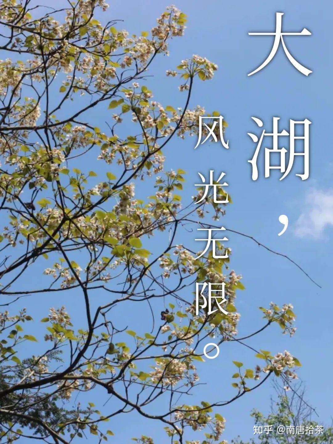 蓦山溪 | 森然可爱不可慢,骨清肉腻和且正 - 知乎