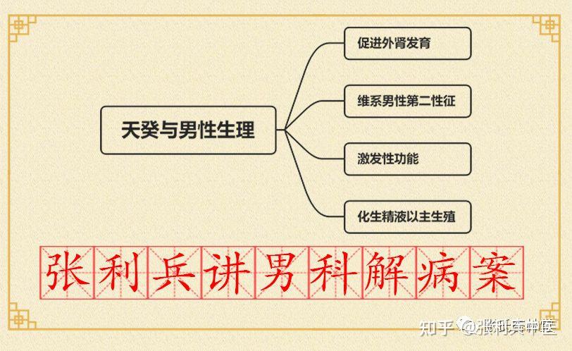 张利兵:“讲男科解病案”第9讲之天癸与男性生理 - 知乎
