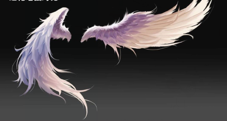 再加上一点点闪闪发亮的特效,细化就完成了想画好翅膀真的不容易,如果