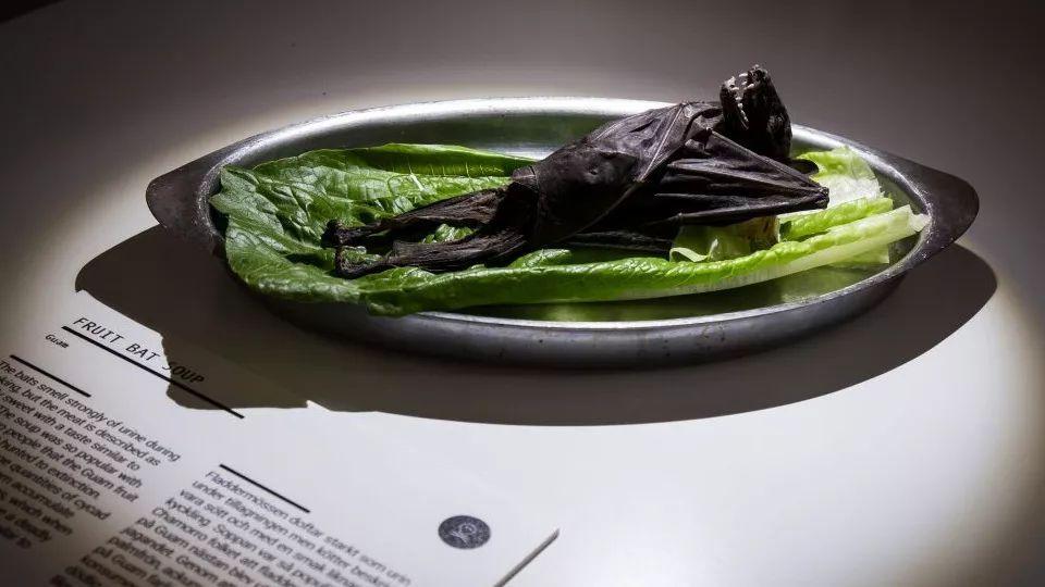 烤蝙蝠       被折翼的石像鬼