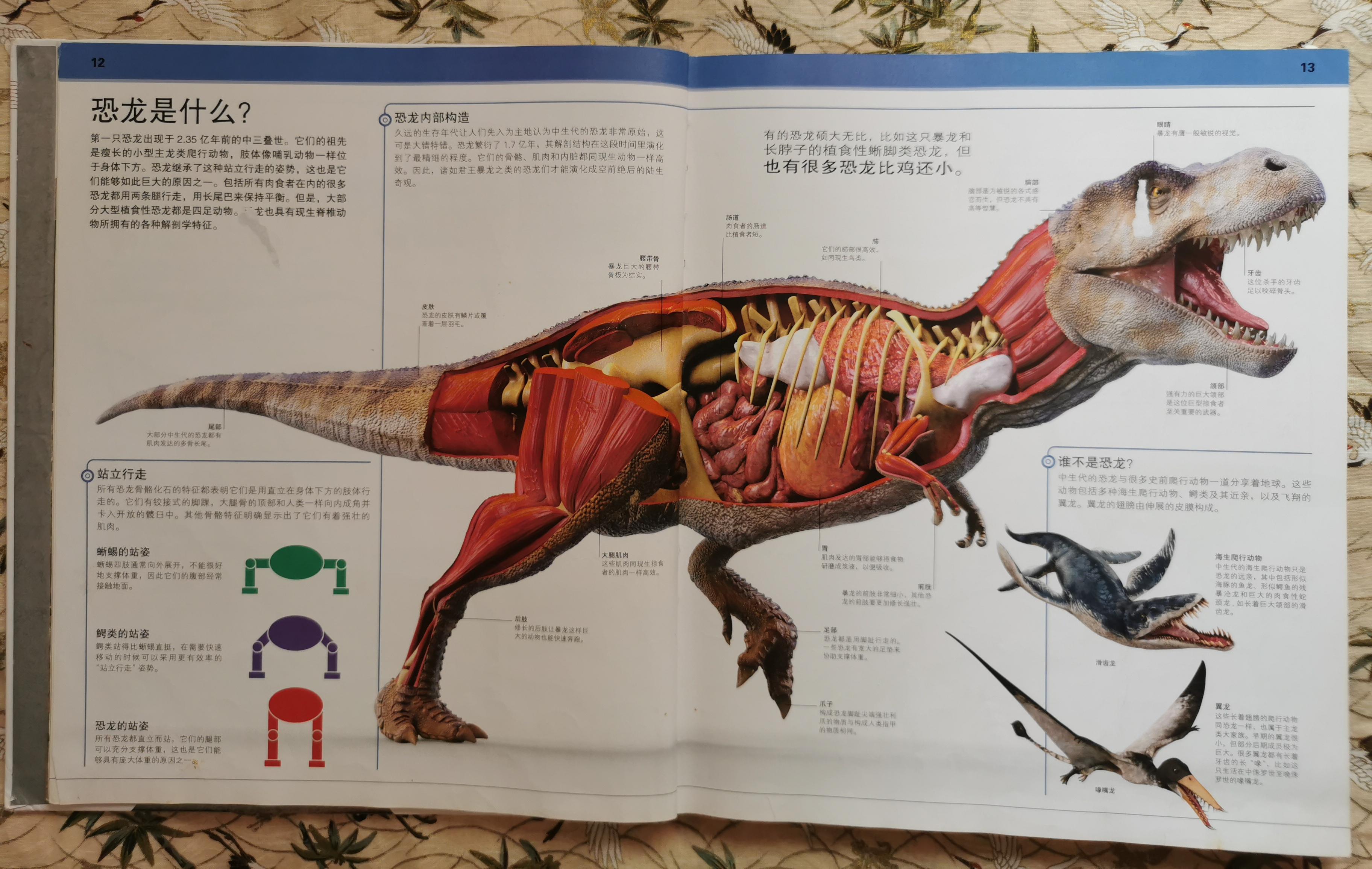 5岁孩子,内容精准权威但不晦涩的恐龙科普绘本可以推荐