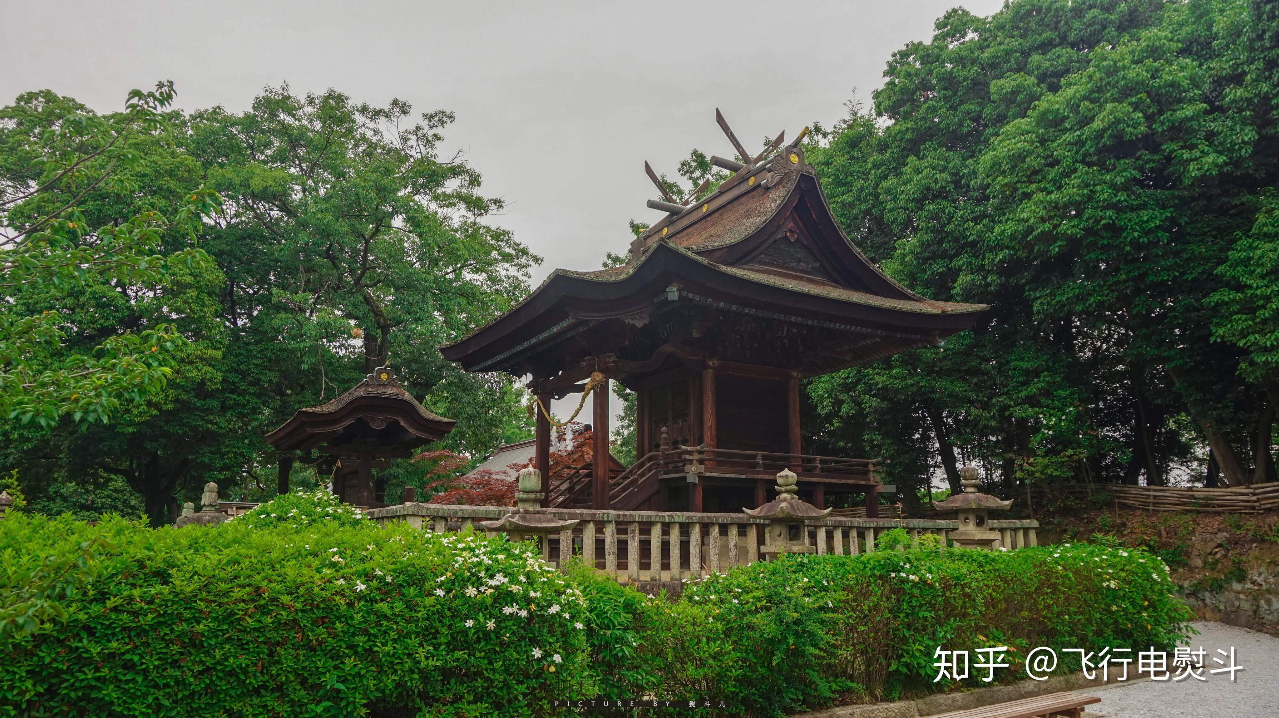 这些年我走过的日本100城-No.85：仓敷 - 知乎