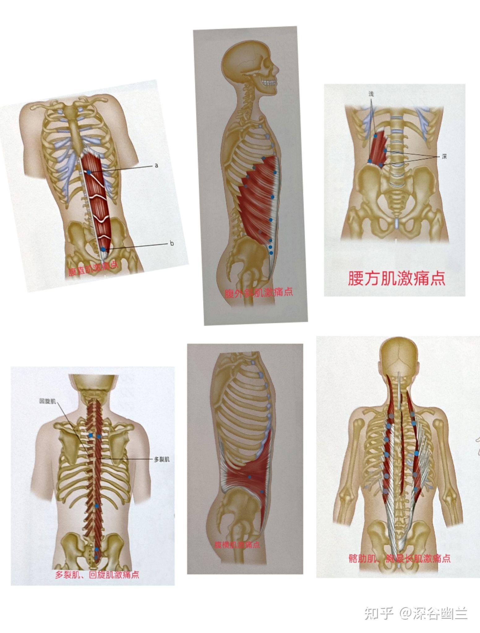 7大腹部穴位一張圖看懂！經痛、腹痛、便祕按對位置更有用。 | 今健康 | LINE TODAY