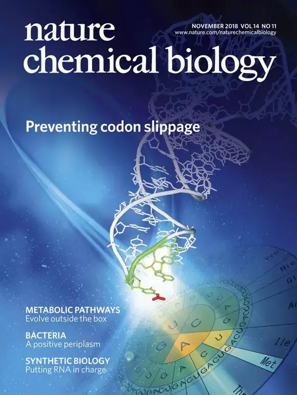 how dynein is inactivated to ensure unidirectional anterograde